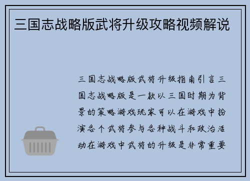 三国志战略版武将升级攻略视频解说